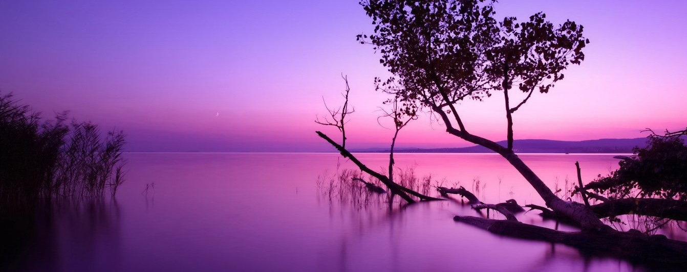 Purple Afternoon