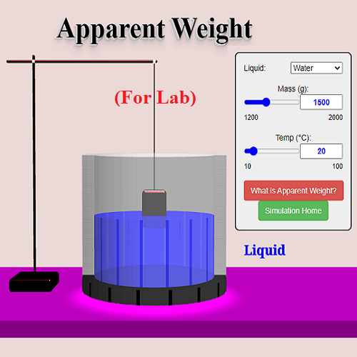 Apparent Weight